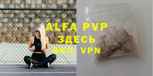 spice Арсеньев