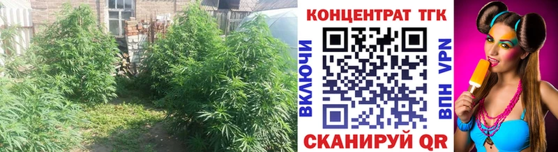 ТГК вейп  Георгиевск 