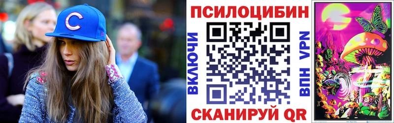 закладка  kraken онион  Псилоцибиновые грибы мухоморы  Георгиевск 